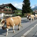 Restaurant Sunnmatt