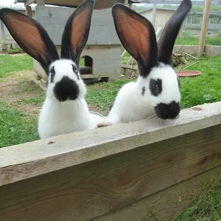 Restaurant Sunnmatt Aeschi Bei Spiez