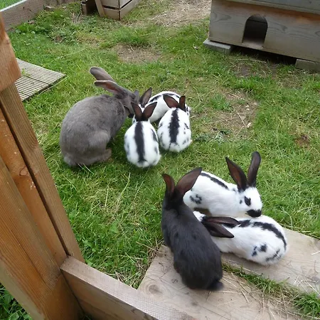 Restaurant Sunnmatt 3*