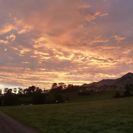 Гостевой дом Restaurant Sunnmatt 3*