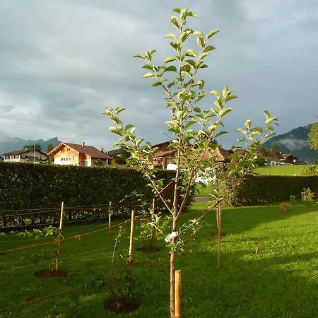 Vendégház Restaurant Sunnmatt 3*