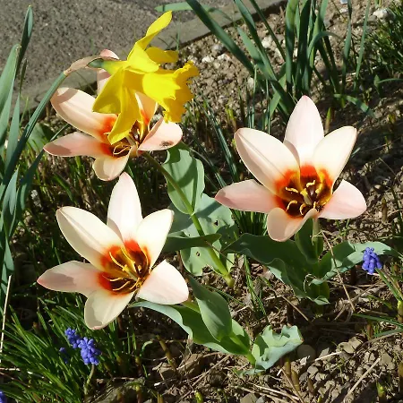 Гостевой дом Restaurant Sunnmatt 3*