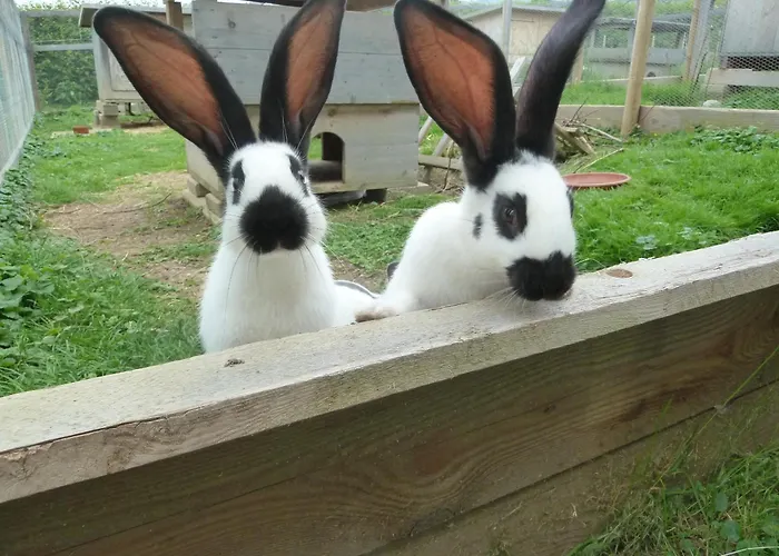 Restaurant Sunnmatt Aeschi Bei Spiez