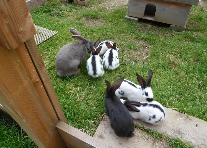 Restaurant Sunnmatt 3*