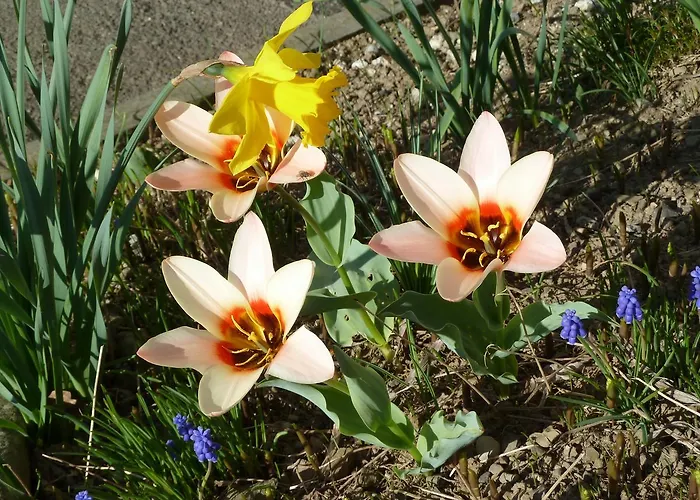 Gæstehus Restaurant Sunnmatt 3*