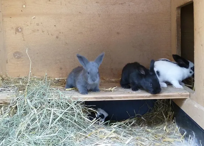 Restaurant Sunnmatt 3* Aeschi Bei Spiez