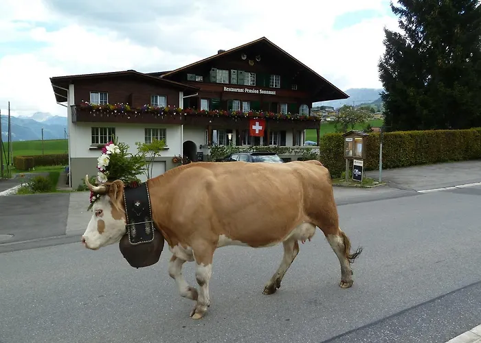 Restaurant Sunnmatt Gæstehus 3*