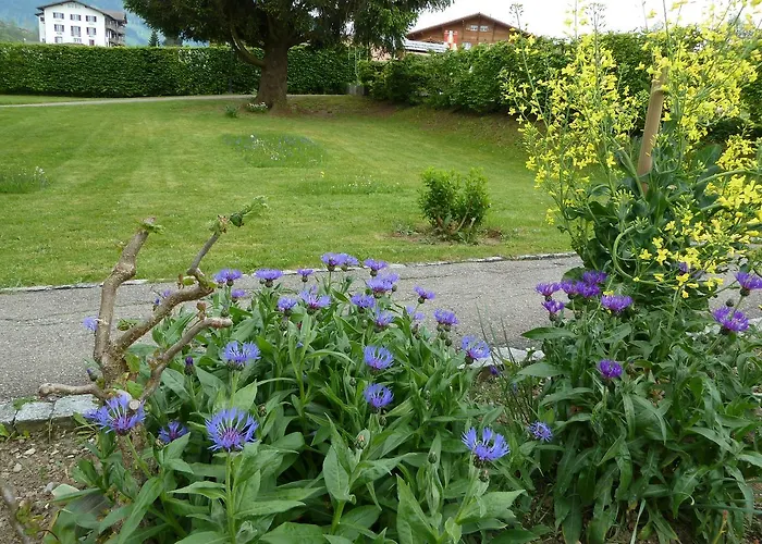 Gæstehus Restaurant Sunnmatt 3*