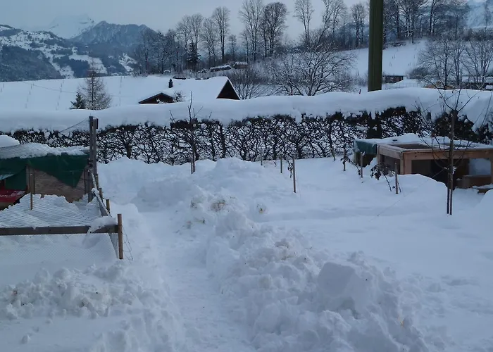 Restaurant Sunnmatt 3* Aeschi Bei Spiez