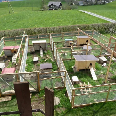 게스트하우스 Restaurant Sunnmatt