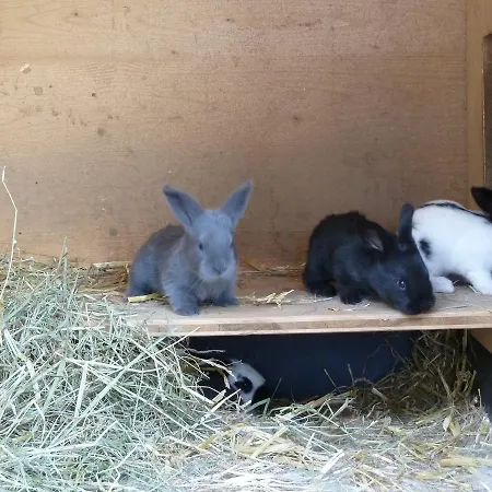 Restaurant Sunnmatt 3* Aeschi Bei Spiez