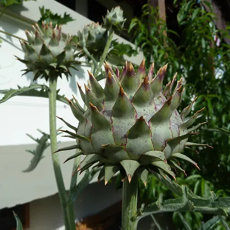 게스트하우스 Restaurant Sunnmatt Aeschi Bei Spiez