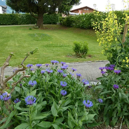 Guest house Restaurant Sunnmatt 3*